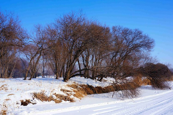冰城伏尔加:“晴空下的雪域恋歌”让你知道旅行和旅游是两码事!