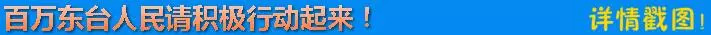 东台政府最新政策,东台市全国试点