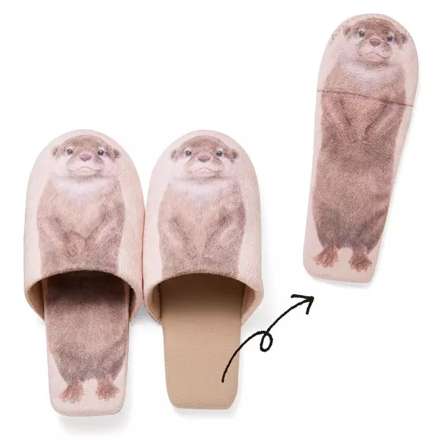 日本人家里东西太多,日本必备10种东西