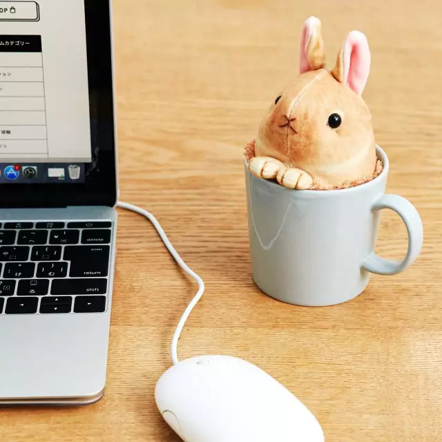 日本人家里东西太多,日本必备10种东西