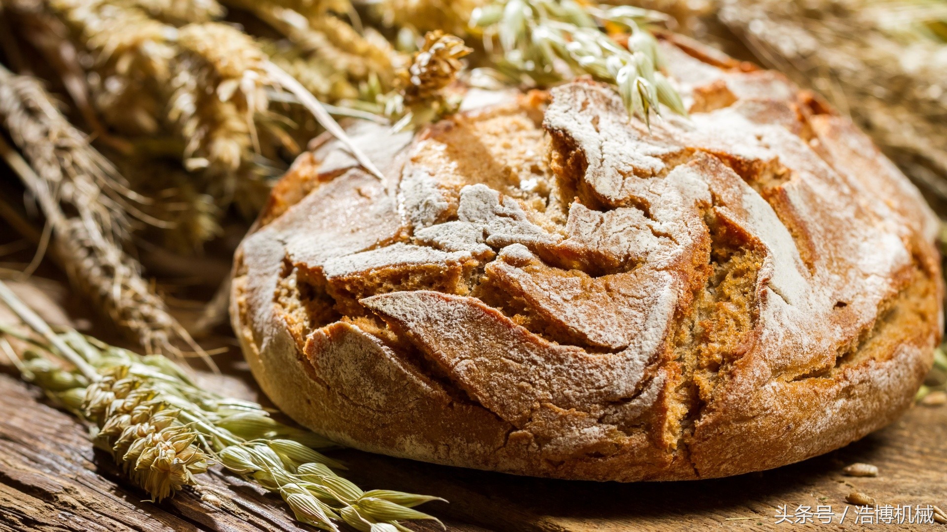 开烘焙面包店基本设备,开烘焙面包店需要准备什么