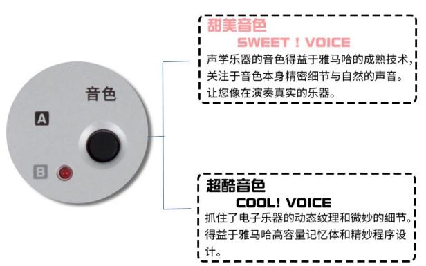 考级用琴,电子琴考级推荐用琴