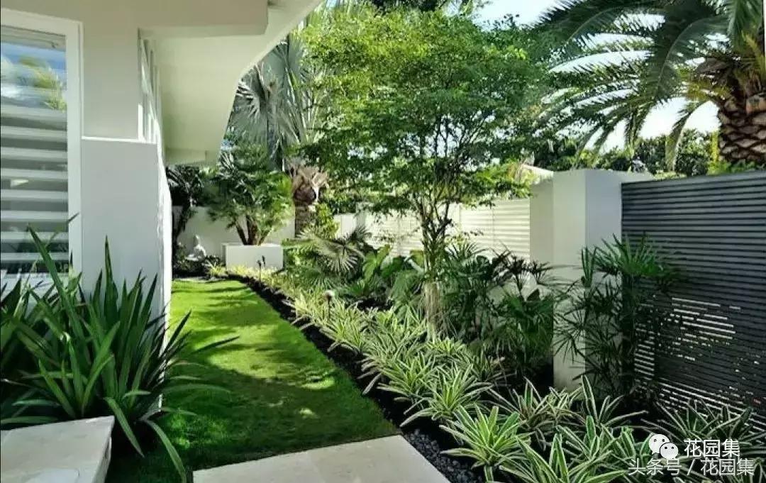 庭院栽什么树风水好,庭院最好的风水布局