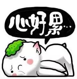 爱撒谎的孩子智商高？面对孩子说谎，智慧的父母这么做！