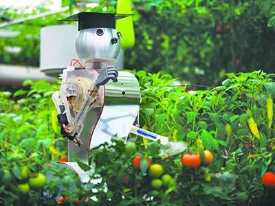 农业暴富的六大机会,中国农业暴富机会