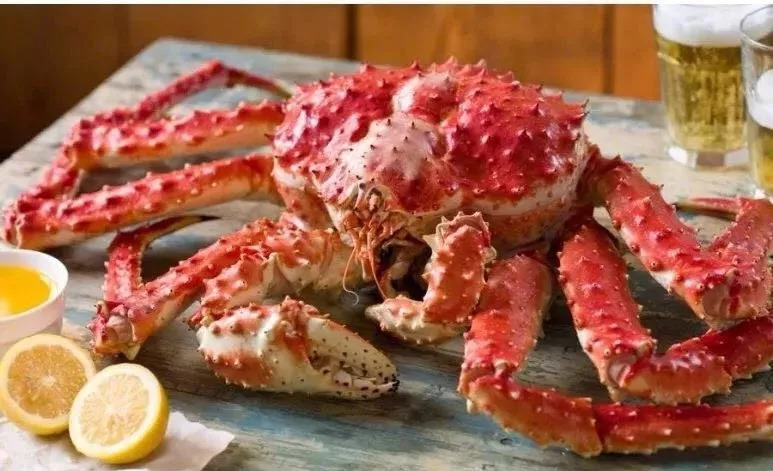 7折！开在美术馆里的大师级日料！100+种菜品无限畅吃~