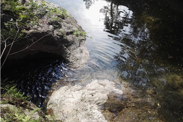 北京密云免费游玩有山有水的地方,密云夏季景区门票优惠政策