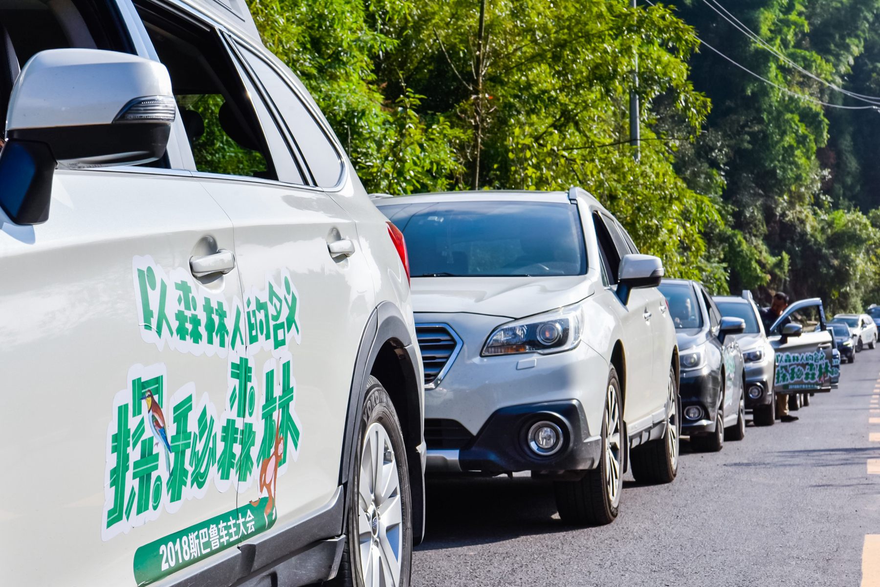 斯巴鲁为什么大家都买,斯巴鲁为啥那么多人买