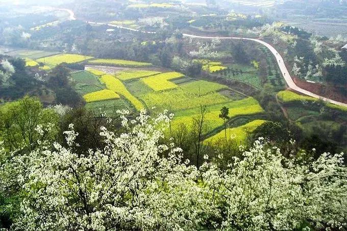 从无人问津到万众瞩目系列,从无人问津到炙手可热