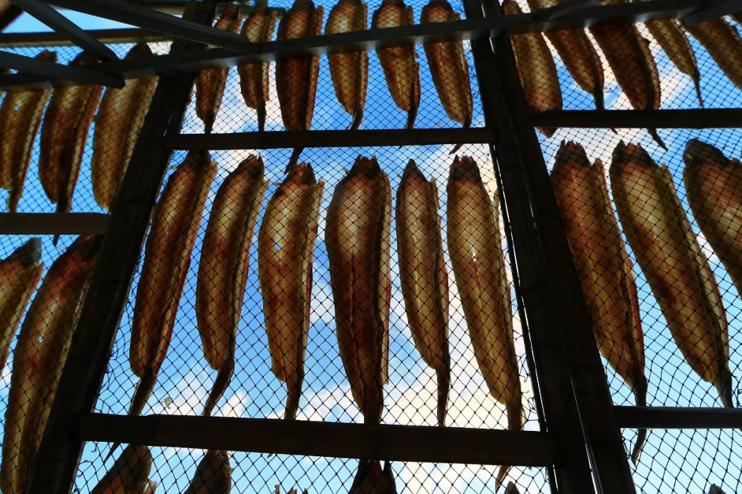 没有256G的胃，还敢到东海嗑海鲜？