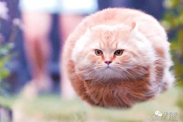 那些有史以来最沙雕的手办,那些被手办大佬神还原的沙雕