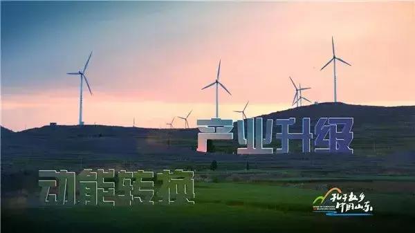 山东成功挺进全国八强,山东省挺进八强