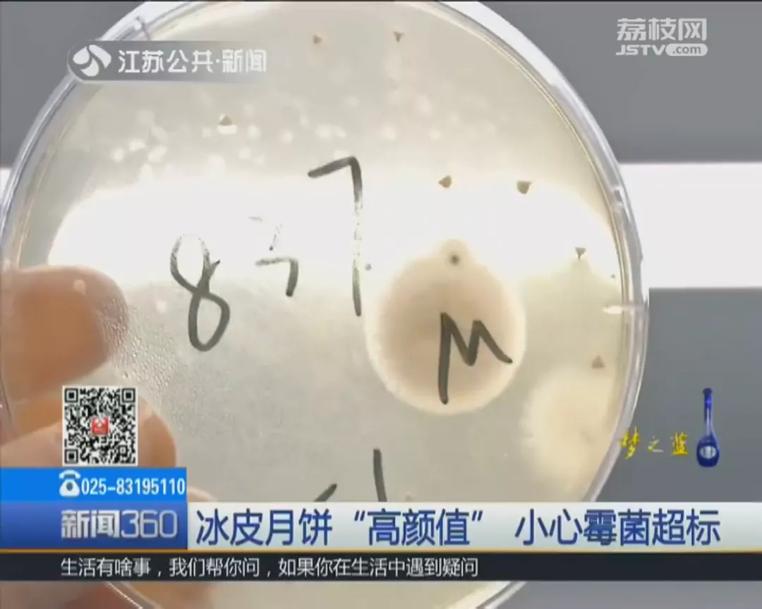 不合格食品曝光月饼,提醒这些月饼不合格你可能也买过