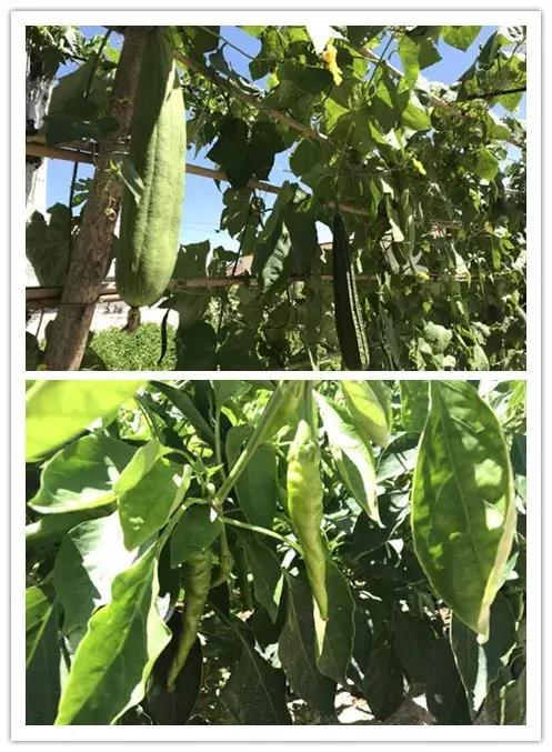 我们都要好好的努力工作享受生活,为了生活他们都在努力工作