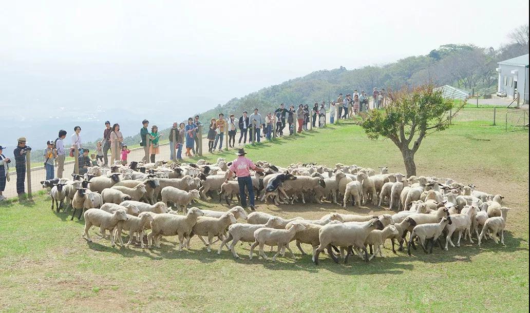 亲子牧场推荐,亲子牧场有哪些