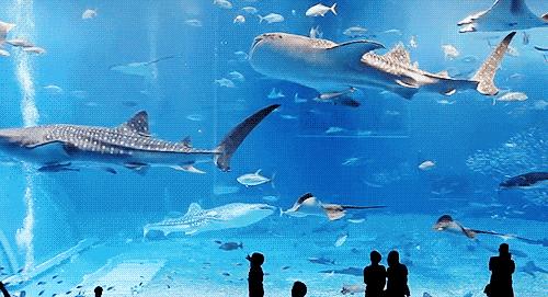 悦荟哪里有,悦荟情侣套餐