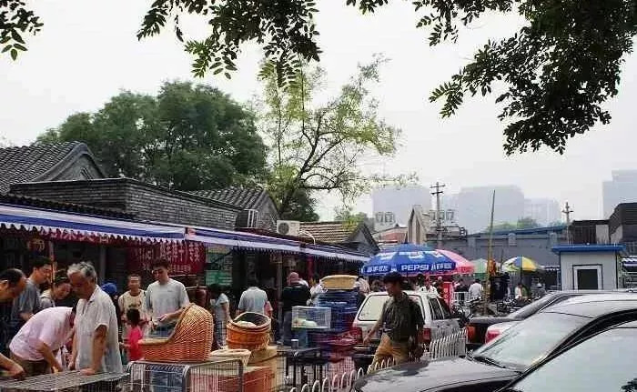 10天后，官园批发市场就没了！想怀念再去瞜一眼，顺便捡漏！