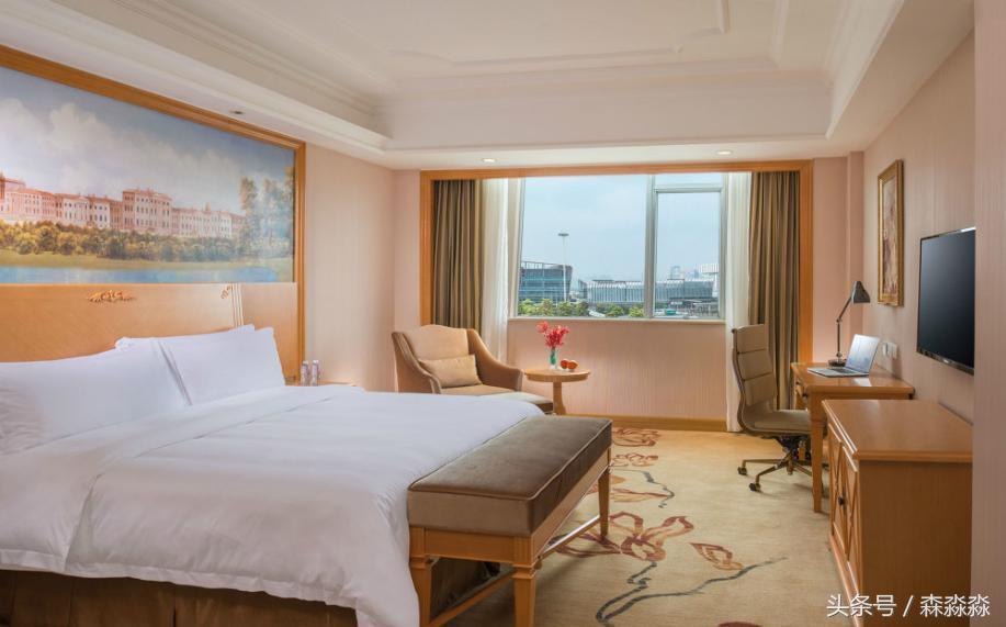 维也纳酒店西安国际会展中心店,维也纳商业模式的资本运作