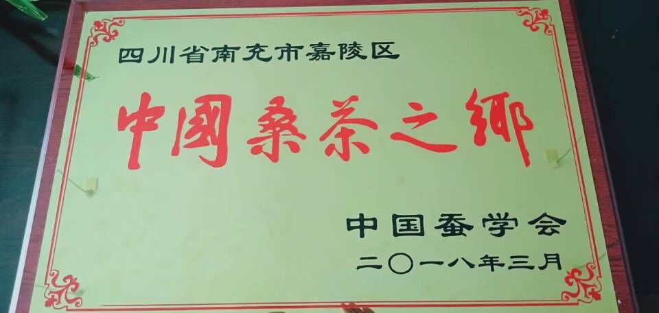 南充嘉陵网红前十名,南充十大著名的人