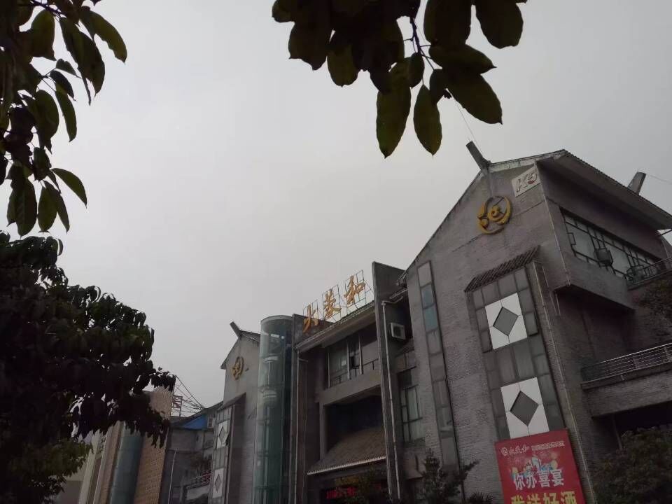 南充嘉陵网红前十名,南充十大著名的人