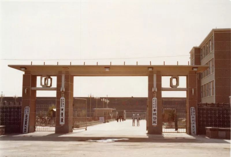 一件羊绒衫要多少原料,鄂尔多斯的什么羊绒衫最好