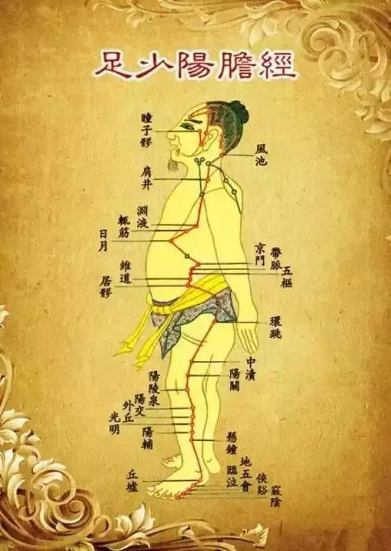 胆经淤堵肩颈,黄帝内经对胆经的作用