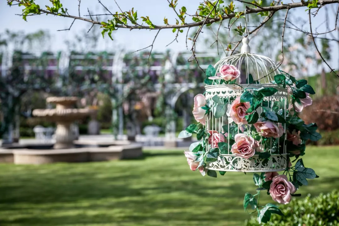 青岛樾府样板,美尚奖