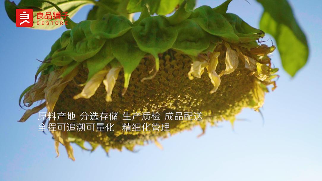 一粒瓜子,一粒瓜子的质量