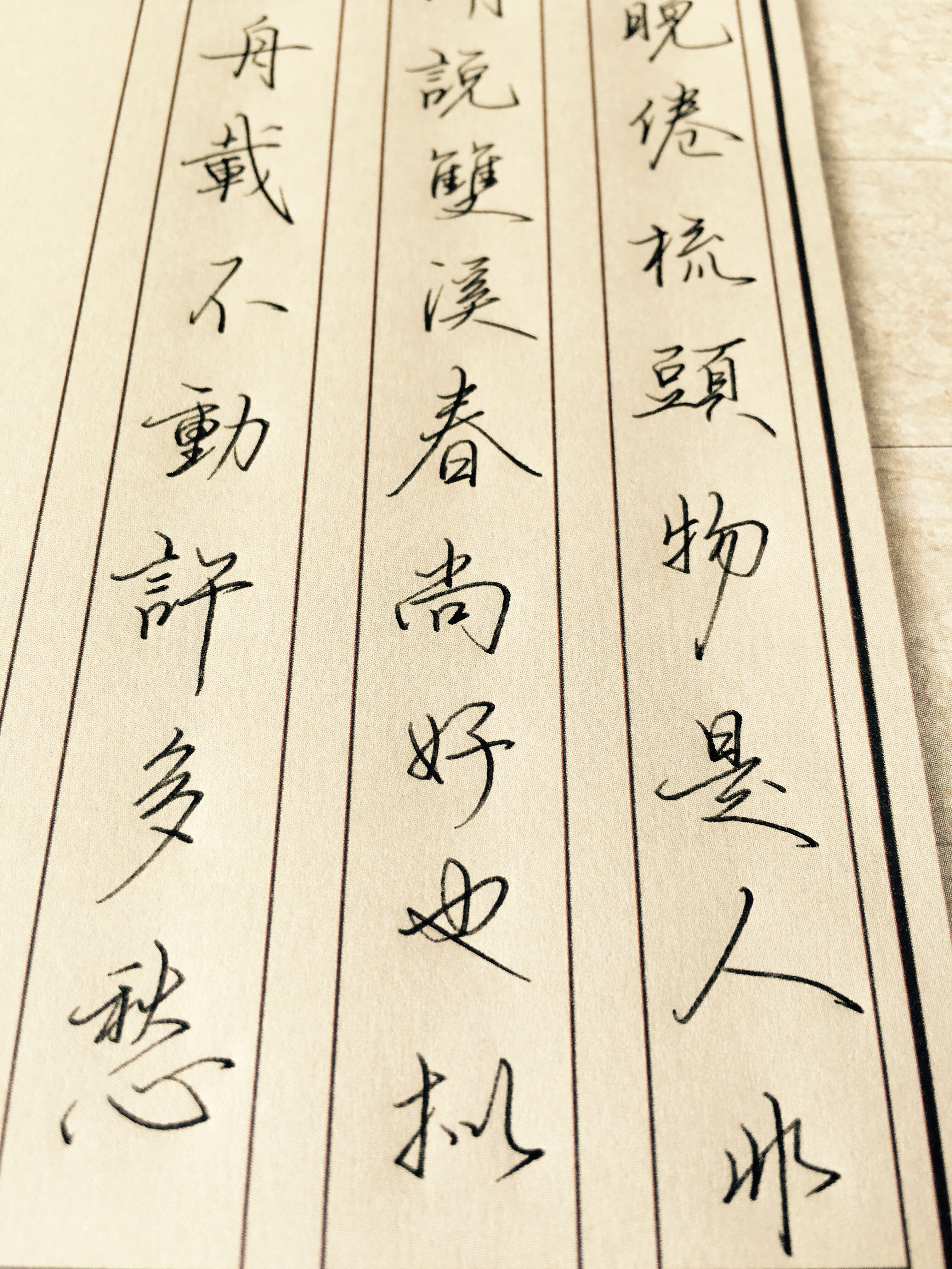 李清照宋词钢笔字帖,李清照经典诗词钢笔字作品欣赏