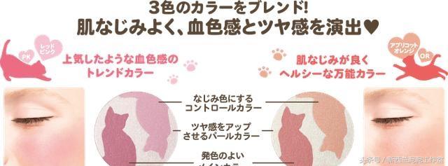 猫奴的护肤品,猫奴适合什么护肤品