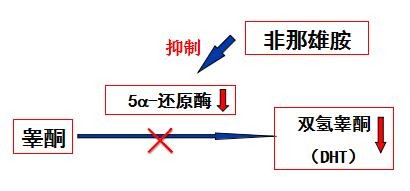 5个原因导致男人脱发,雄激素性脱发能治吗