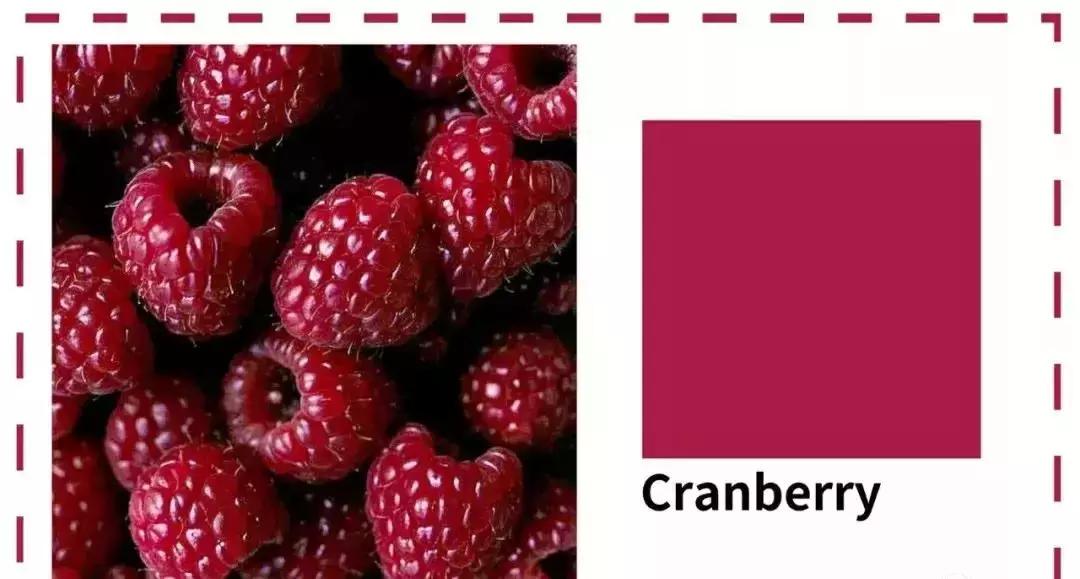 口红今年流行款,黄黑皮适合万人迷的口红吗