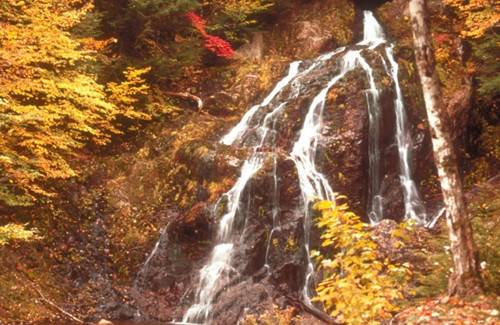 秋天景色的作文三年级300字大全,关于秋天的一篇优美作文