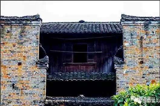 富川山清水秀,富川有树林的地方