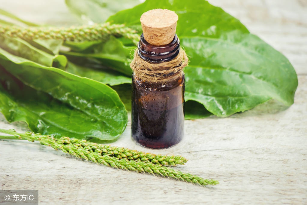 杞﹀墠鑽夌殑绁炲鐢ㄥ,鍐滄潙甯哥敤鐨勮溅鍓嶈崏