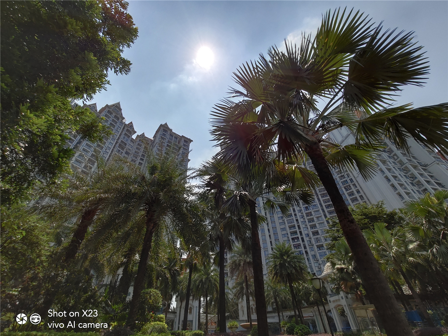 vivox23最好的功能,vivox23评测外观惊艳拍照更惊人