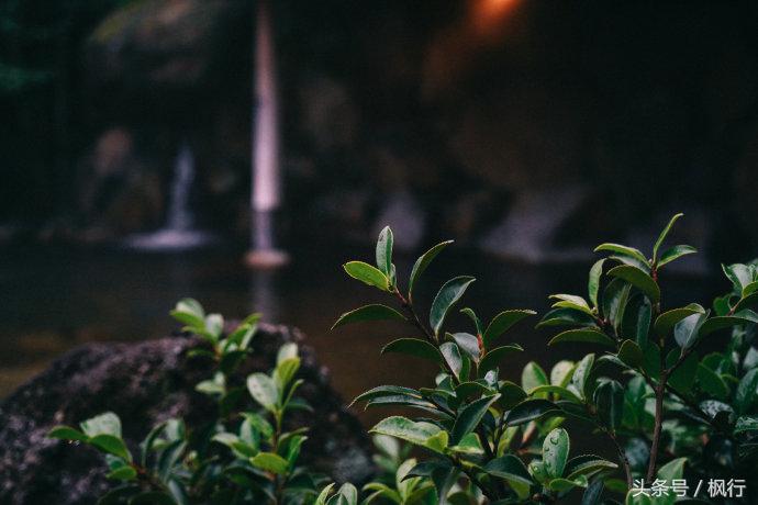 日本秘汤之旅,日本秘汤温泉