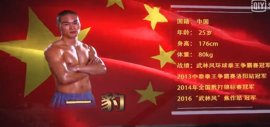 武僧一豹打过几场比赛呢,武僧一豹被ko