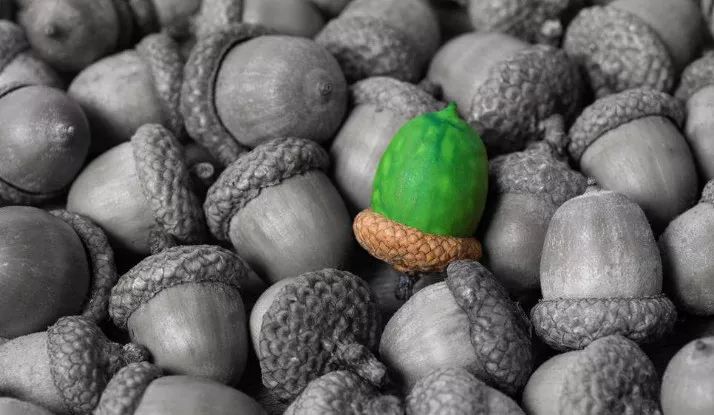 做变性手术被判刑,非法行医做变性手术