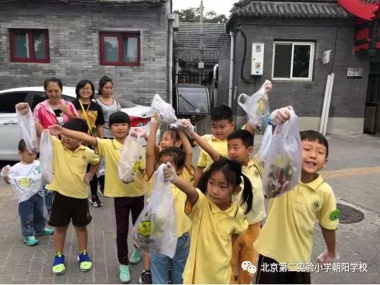 一年级小学社会实践体会,北京第二实验小学考察体会