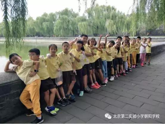 一年级小学社会实践体会,北京第二实验小学考察体会