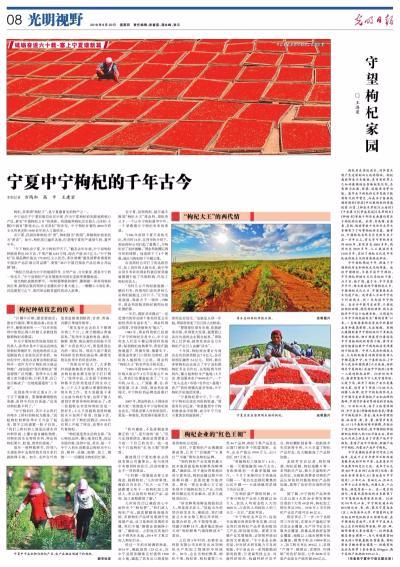 央媒看宁夏,人民日报评价宁夏枸杞