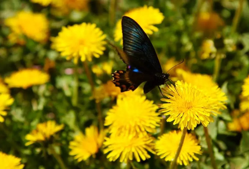 国庆旅游景点门票半价,辽宁五一出游这些景区免门票