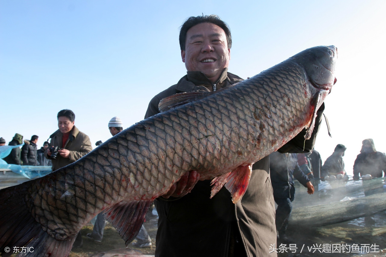 钓到大鱼不想爆竿怎么办,钓到大鱼钓不上来怎么办