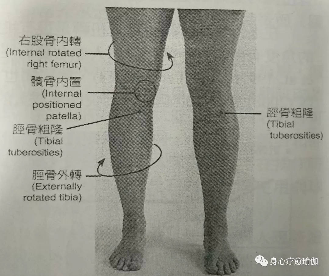 小腿胀瑜伽体式咋缓解,瑜伽小腿拉筋的正确方法视频