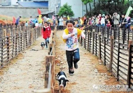 农业体验活动创意项目,休闲农业体验活动评估