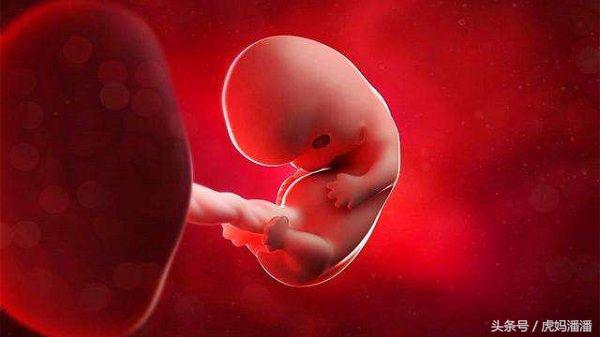 孕早期必要的检查有哪些,孕早期tsh正常孕中期还需要检查吗