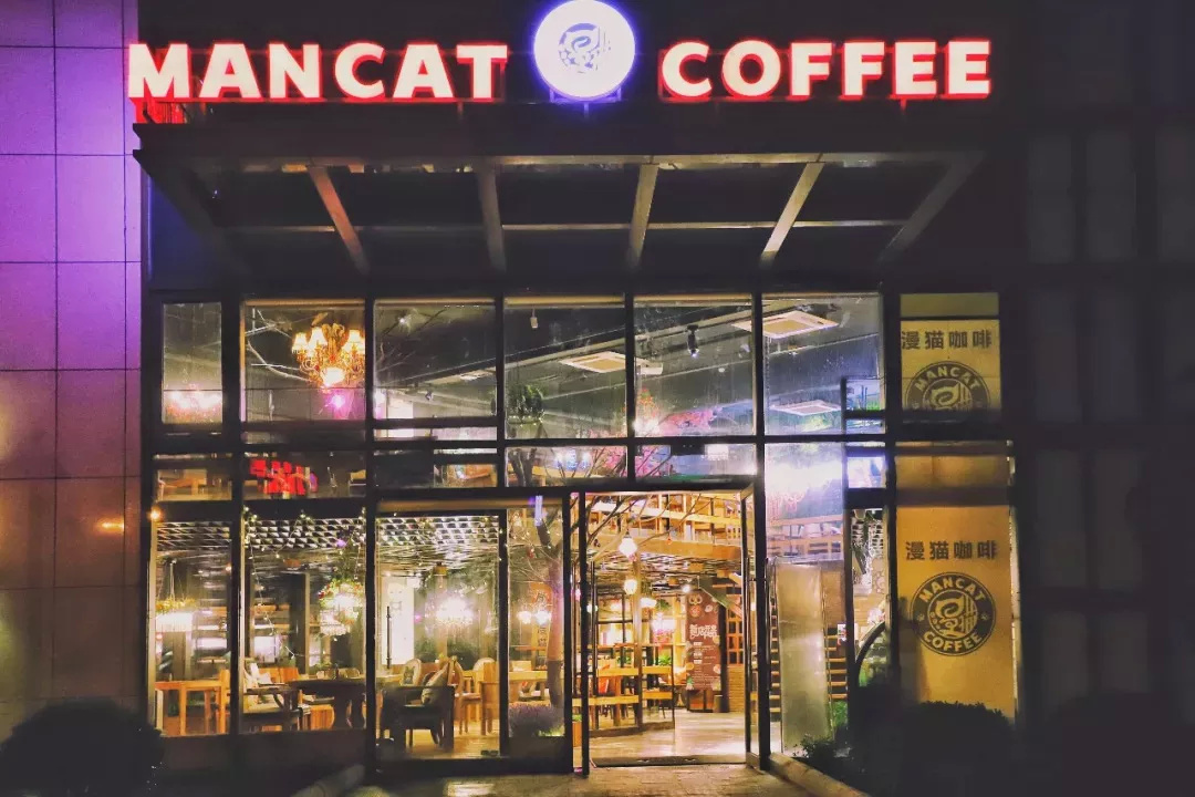 在漫猫喝咖啡，那种无忧的心情，仿佛随着维也纳音符飘到云间……