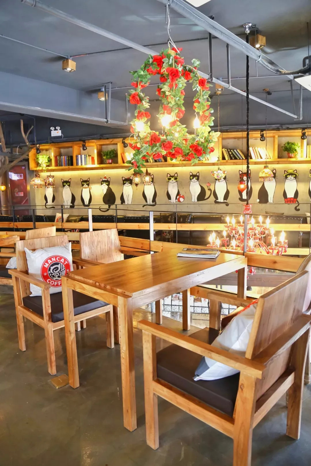 在漫猫喝咖啡，那种无忧的心情，仿佛随着维也纳音符飘到云间……