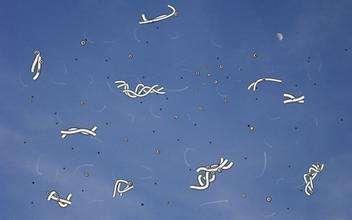 高度近视引起的飞蚊症如何改善,警惕飞蚊症